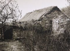 1940年10月，魯中區(qū)黨委在沂南縣艾峪湖成立。1.jpg